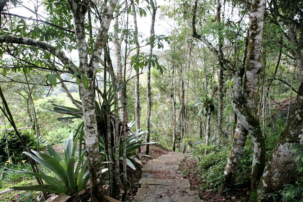 Aroso Paco Hotel Педра-Азул Екстер'єр фото A trail in the park